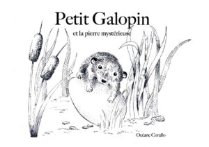 Petit Galopin et la pierre mystérieuse
